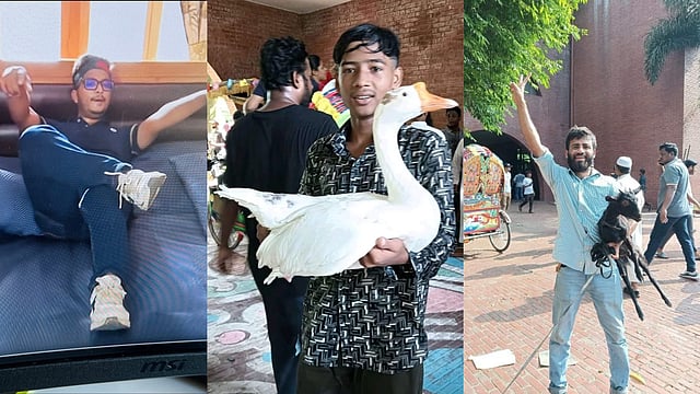 Watch| Agitated Bangladeshi Protesters Vandalise, Loot PM Residence 'Ganabhaban'